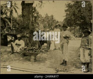 Con Speaker Cannon attraverso i tropici : una storia descrittiva di un viaggio nelle Indie Occidentali, Venezuela e Panama: Contenente vedute del Speaker sui nostri possedimenti coloniali . , come entrambi i sexesparono curiosi nei confronti di noi come eravamo per loro, ha semplicemente richiesto la nostra presenza in un dato quarto toattract una folla. Se il Presidente Cannon avesse scelto i forum di mezzogiorno in via Mott, non avrebbe potuto essere moreludicrous che i suoi vagabondaggi attraverso alcune delle strade di Fort de France. Ma era noci e uvetta per lui, e nessuno godeva del chatter, dell'eccitementenervoso dei denizens A. Foto Stock