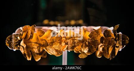 Italia Toscana Volterra - interno del Museo Etrusco Guarnacci - Corona in foglie d'oro laminate Foto Stock