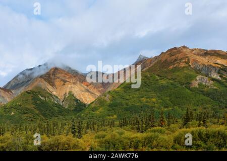 Bella Montagna Di Pecore All'Alba, Sutton, Sutton, Alaska. Foto Stock