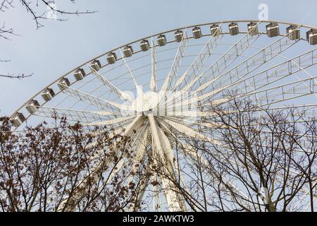 Vista ravvicinata del Roue de Paris durante l'inverno. Popolare ruota ferris / occhio a Place de la Concorde. Nelle ramificazioni dell'albero in primo piano, Foto Stock