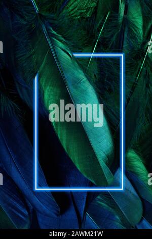 Neon incandescente piume di un uccello sfondo con cornice incandescente. Disposizione piatta. Foto Stock