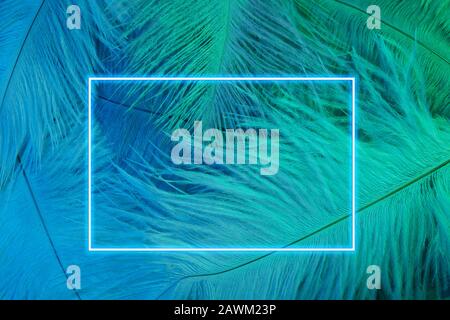 Neon incandescente piume di un uccello sfondo con cornice incandescente. Disposizione piatta. Foto Stock