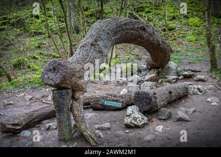 Money Tree parte del percorso Ingleton cascata Yorkshire Dales Foto Stock