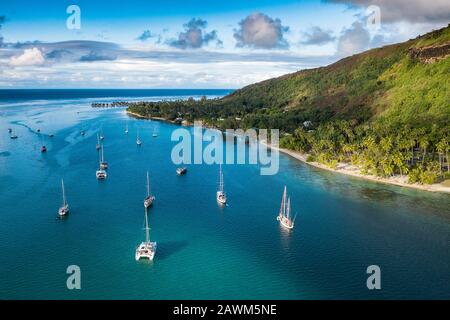 Veduta Aerea Della Baia Di Opunohu, Moorea, Polinesia Francese Foto Stock