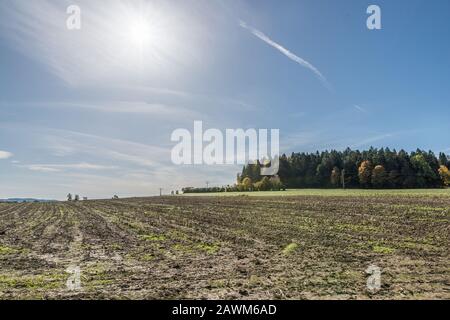 Il sole splende su alberi, campi e prati nella Foresta Bavarese, in Germania Foto Stock