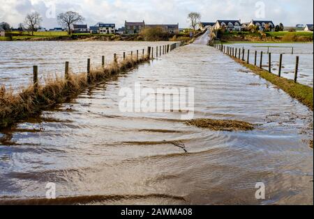 Storm Ciara fa sì che il fiume Clyde scoppiasse le sue banche nel Lanarkshire del sud della Scozia causando un'ampia diffusione di inondazioni su strade e campi. Foto Stock