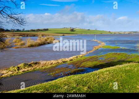 Storm Ciara fa sì che il fiume Clyde scoppiasse le sue banche nel Lanarkshire del sud della Scozia causando un'ampia diffusione di inondazioni su strade e campi. Foto Stock