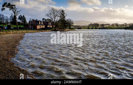 Storm Ciara fa sì che il fiume Clyde scoppia le sue banche nel Lanarkshire meridionale causando un'ampia diffusione di inondazioni su strade e campi. Foto Stock