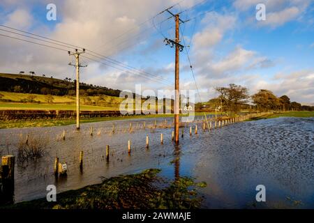 Storm Ciara fa sì che il fiume Clyde scoppiasse le sue banche nel Lanarkshire del sud della Scozia causando un'ampia diffusione di inondazioni su strade e campi. Foto Stock