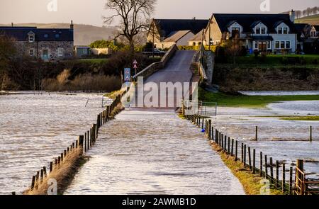 Storm Ciara fa sì che il fiume Clyde scoppiasse le sue banche nel Lanarkshire del sud della Scozia causando un'ampia diffusione di inondazioni su strade e campi. Foto Stock