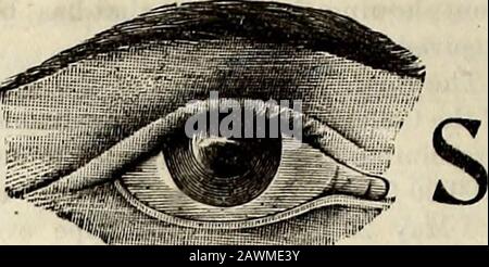 North Carolina Christian Advocate [serial] . ftrue nobility e of moral Excellence.In secondo luogo, egli dichiara che il thespirrit che spinge tale offerta è il veryspirit che si occupa dei poveri, che totali poveri diventano rappresentativi del Signore assente. Questo unpracticalgift, dice Broadus, e il Saviorscommendation di esso hanno themselvescaused i regali più ricchi ai poveri in tutto il agesthan tutta la ricchezza di Jerusalemherei ha eguagliato. Inoltre, come osserva lo scrittore thesame, Qualunque sia il più chiaro manifesto, e per reazione rafforza, l'affetto devoto, vero sentimento religioso, è di per sé accettato Foto Stock