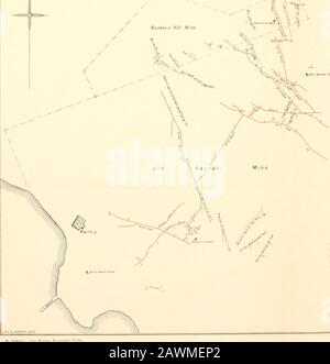 La geologia della suddivisione Coromandel, Hauraki, Auckland. sezione lona Della vecchia miniera di Hauraki fiSqj*. &lt;c. -X3 **vr**j SJUFT. Foto Stock