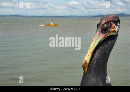 Una scultura cormorante in metallo sul lungomare di Morecambe nel Lancashire Inghilterra UK GB Foto Stock