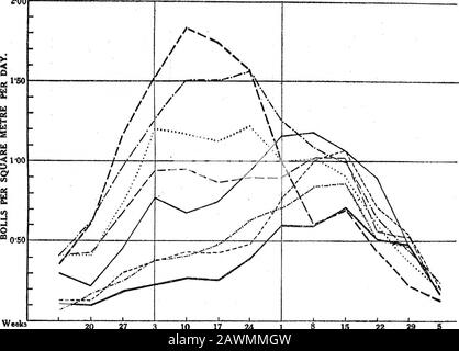 Analisi di YieldPart ITHE Spacing Esperimento con cotone egiziano, 1912 . 050 WeeksEnding 13 20 27 AGOSTO 10 17 24 SETTEMBRE 8 15 22 OTTOBRE 29 Fig. 5.-Curve Bollenti per Pianta. Queste curve mostrano i tassi settimanali di produzione di boll per impianto, esattamente come in fig. 2 mostra la velocità di abbassamento. La scala è la stessa sia in fig. 6. Notazione come in fig. 2. SU ANALISI DELLA RESA IN AGBICUTUBAL. Serie 177 a. £00. Weaka 20 27 AGOSTO 10 17 24 SETTEMBRE 15 22 OTTOBRE 29 Serie b. 2*00 Foto Stock