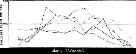 Analisi di YieldPart ITHE Spacing Esperimento con cotone egiziano, 1912 . Settimane 28 Che Terminano IL 12 GIUGNO 19JULY 26 16 23 AGOSTO 30 6 13 SETTEMBRE 174 MESSRS. W. L. PALLE E F. S. HOLTON APPEZZAMENTI 35  37 48 51. WeeksEnding 13 20 27 AGOSTO 10 17 24 SETTEMBRE 8 15 22 OTTOBRE Fig. 3 (continua). Cinque Grafici di Spaziatura 2a. 29 PIAZZOLE 19 23 34 38 T50 &lt; a UiQu H -i o 00 0-50 £ : /v / / i i ---:- / y  ^  T^ Foto Stock