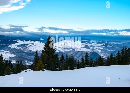 Inverno in Cindrel montagne, Romania, picco Magura, 1304m Foto Stock