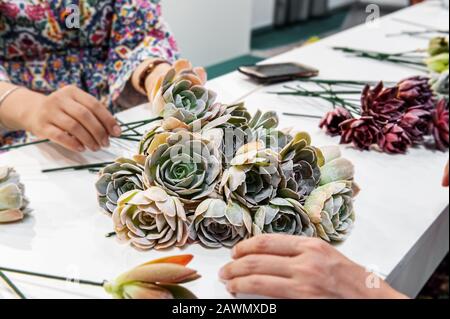 piante succulente di aeonio arboreum sono sul tavolo pronti a creare un bouquet da parte del fiorista. Messa a fuoco selettiva. Foto Stock