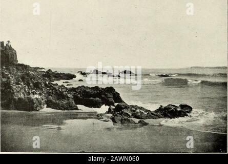 La geologia della suddivisione Coromandel, Hauraki, Auckland. .] [a faccia p. PIATTO VI.. La linea costiera nord-est di Waitaia Ridge. [Foto, Del Sig. Alex. McKay, F.G.S. Foto Stock