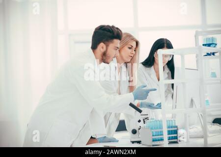 gruppo di scienziati che discutono i risultati di uno studio sul coronavirus Foto Stock