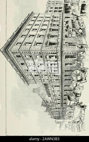 La vita e i tempi del giusto onorevole William Henry Smith . ong come istdeficienze potrebbe essere spiegato da inexperiencee non da negligenza - era più lento a discoraggio lui da rebuke : ha usato dire che hepreferred, anche a rischio di perdita temporanea di profits, per lasciare che un uomo scoprano il suo proprio esanzichè controllarlo immediatamente. Nessuno knewbetter di Smith la verità dell'adage, exquovis ligno nonjlt Mercurms; ma nessuno boremore costantemente presente che essere scolpito in aneffigy non è l'unico uso a cui il legname può beput e che, dei due, un gatpost è morespesso di servizio di Foto Stock