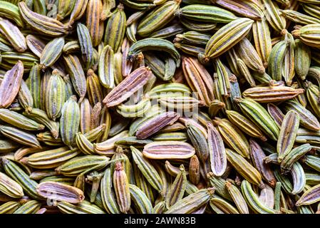 semi di finocchio trama di fondo sciolto pronto per essere estratto come tè. Foto Stock