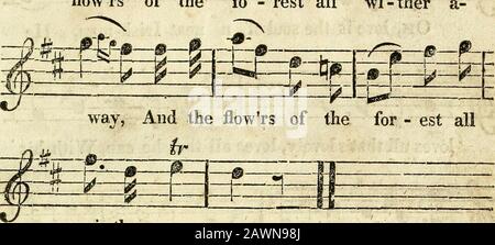 Il nuovo quadro musicale e vocale : composto da una selezione dei più preferiti inglesi Scotch & irlandesi melodiesArvaried per la voce, flauto di violino & cas cantati ai teatri & incontri armonici . Flowrs of the fo - Rest all wi-ther. Way, E i fiori del for - est allir i wi-there a - - wi i fiori della foresta in primavera-tempo erano gay.And il sorriso di mia Maria ha dato le ali al giorno .:Ma passato sono quei piaceri, non più a tornare - Il suo fascino che adoro, e la sua falsità che lutto ;Per, ahimè! Lei mi ha lasciato per passatempo più gay, E i fiori della foresta tutto wither via. I flussi del Foto Stock