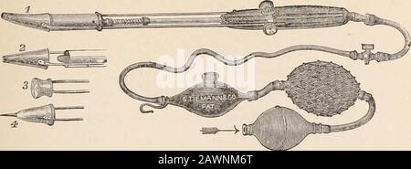 Archivi di medicina : una rivista bimestrale dedicata alle comunicazioni originali su medicina, chirurgia, e loro rami speciali. . bruciatore, trasporta il gas; un flusso costante di aria viene pompato attraverso l'aiuto di una sfera di gomma e di un ricevitore di gomma molto distensibile, infatti, un normale palloncino giocattolo coperto da un sacchetto di buone dimensioni di spago rete. I vantaggi dello strumento rispetto agli altri, concisono la sua adattabilità a quasi tutti i luoghi in cui è desiderabile utilizzare la cauteria, e la facilità con cui quasi un whiteheat può essere mantenuto per qualsiasi durata. Presto ho procurato uno di questi strumenti Foto Stock