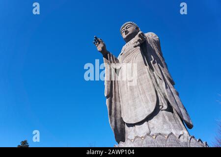 Il bronzo Ushiku Daibutsu (Grande Buddha) con le mani in mudra vitarka si  trova in una chiara giornata invernale a Ushiku, Ibaraki, Giappone Foto  stock - Alamy