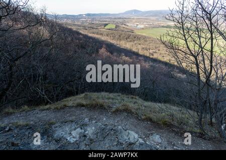 Sentiero escursionistico nelle colline di Buda (Harmashatargy) vicino alla città di Budapest, Ungheria. Foto Stock