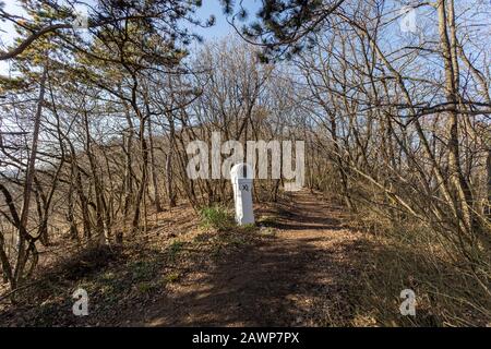 Sentiero escursionistico nelle colline di Buda (Harmashatargy) vicino alla città di Budapest, Ungheria. Foto Stock