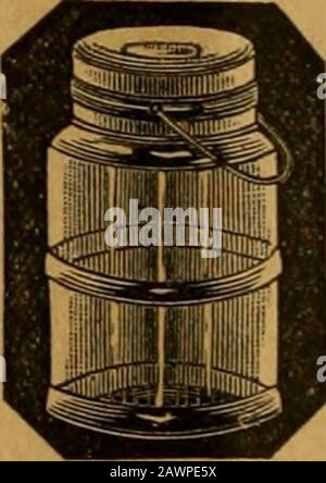 American Bee journal . smoutli. Nebraska, venderò 3-zame (dimensione 9V6x1%) Colonie Di Nuclei di Bees italiani, withQueens, a f2,5(i ciascuno - BN^ocl in 2 fotogrammi o più - da% a 1 lb. Di Bees. J. M. IOUXO. 21ATF B0.Y874, PI.ATTSMOUTH, NEBR. Menzionare L'American Bee Journal. Itai.IAN REES, QUEENS, ed EGGSfrom Light Brahma e Wyandotte PoultryOne non Testati Queen, 1 dollaro; 3 dollari per 2 dollari. Uova, 2 dollari per 13. Prezzo-Colazione Gratuita. Indirizzo, H. G. FRAIWE, 10E13t NORTH MANCHESTER, IND.Mentym The American Bee Journal. CHIODI DI VETRO PER MIELE. TRESE gli sono la migliore qualità del battito di Qint Klaas chiaro, con un ball8nd un top in metallo e. Foto Stock