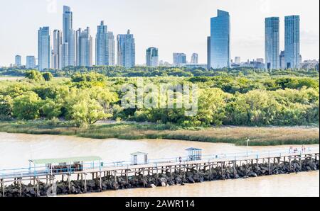 Buenos Aries Argentina - 19 gennaio 2020: Una vista dello skyline di Buenos Aries dal porto. Foto Stock