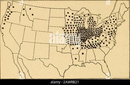 Un libro di testo di erbe con particolare riferimento alle specie economiche degli Stati Uniti. Fig. 3. Produzione di timoteo e trifoglio misto negli Stati Uniti. Una dotrappresenta 100.000 tonnellate. 16 UN LIBRO DI TESTO DI ERBE. Fig. 4. Produzione di trifoglio da solo negli Stati Uniti. Un punto rappresenta 10.000 tonnellate. Foto Stock