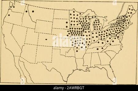 Un libro di testo di erbe con particolare riferimento alle specie economiche degli Stati Uniti. Fig. 2. Produzione di timothy negli Stati Uniti. Un punto rappresenta 100.000 tonnellate. Fig. 3. Produzione di timoteo e trifoglio misto negli Stati Uniti. Una dotrappresenta 100.000 tonnellate. 16 UN LIBRO DI TESTO DI ERBE Foto Stock