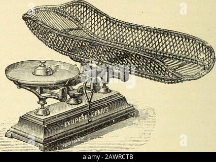 Traité d'hygiène . les poids placés dans le plateau représententle dixième du poids posé sur la fable. Su peut aussi datore di lavoro une bascule à curseur.il suffit que cet appareil puisse peser jusquà 120 kilos.Pour les jeunes enfants, on se servira de la balance de Roberval,ou des appareils provenant, comme celui dExupère, de sa mofica-tion : un des plateaus es! remplacé par une corbeille de formespéciale destinée à recevoir lenfant (fig. 8). 7 artificiello orizzontale del Plancher. Pour être sûr dopérer sur unesurface parfaitement piano el horizontale, Godin recommande lusagedun plancher artificiel Foto Stock
