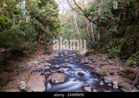 Fiume Savegre, San Gerardo De Dota. Parco Nazionale Di Quetzales, Costa Rica. Il fiume più pulito dell'America centrale. Foto Stock