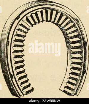 Le scarpe da cavallo e le racchette da cavallo : origine, storia, usi e abusi . fig. 201 fig. 202 stabile punto di appoggio, e prevenire lo scivolamento o la caduta di ferro sul marciapiede di grandi città. Owingto loro essere fabbricati eitherentally o parzialmente di acciaio - in caso di rottura l'acciaio è sulla superficie di terra - possono essere temperati in modo da^^- ^°3 per conservare la loro faccia di sur- denticata in una condizione efficiente per un certo tempo; una caratteristica piuttosto im-portant da notare. Secondo MR Grey, le scarpe realizzate con questo materiale non richiedono affilatura-. SCARPE IN ACCIAIO. 607 in inverno, e sarà trovato di un Foto Stock