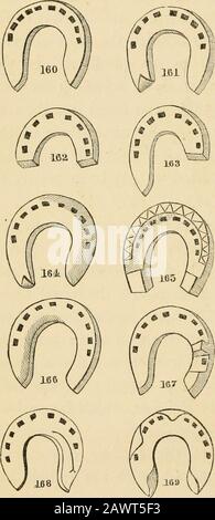 Le scarpe da cavallo e le racchette da cavallo : la loro origine, la loro storia, gli usi e gli abusi . Se-SCARPE E PASSEGGIATE A CAVALLO. Allevato in terre paludose, hanno le rane malate. Employthe half-shoe [fer a lunette); i talloni e le parti di vicinato diventeranno duri e le spalle e le braccia saranno portate più meglio in gioco. Lavoro leggero, ma non su strade sbagliate. Applicare queste scarpe solo per alcuni mesi. I restanti capitelli dedicati a vari tipi di scarpe, adatti a diverse varietà di zoccoli, o cavalli che il whosemanner di andare era de-fective ; così come themethod di shoeing cavalli vi-cious. Le figuredelle scarpe che dà sono Foto Stock