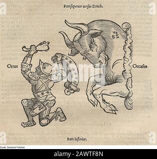 Fotothek df tg 0005072 Astronomie ^ Gestirn ^ Sternbild. Foto Stock