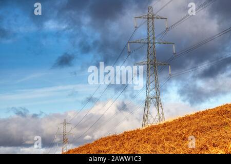 Linee elettriche Foto Stock