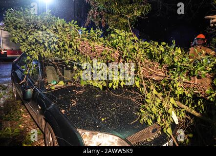 Friburgo, Germania. 10th Feb, 2020. Un albero è caduto su una macchina a causa delle raffiche della tempesta 'Sabina'. Ha causato molti danni in Germania. Credito: Patrick Seeger/Dpa/Alamy Live News Foto Stock