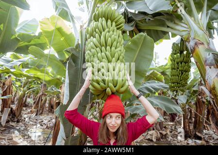 Cute donna che tiene grande ramo di banana sopra la sua testa, visitando piantagione di banane. Concetto di alimentazione sana e di frutta esotica che crescono Foto Stock