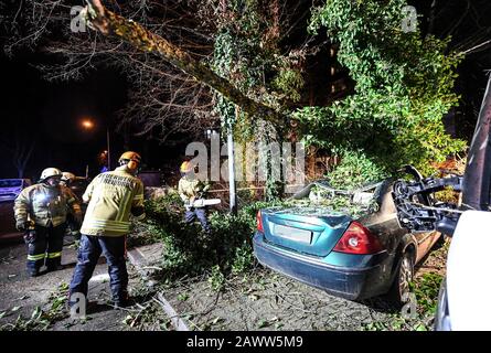 Friburgo, Germania. 10th Feb, 2020. Un albero è caduto su una macchina a causa delle raffiche della tempesta 'Sabina'. Ha causato molti danni in Germania. Credito: Patrick Seeger/Dpa/Alamy Live News Foto Stock