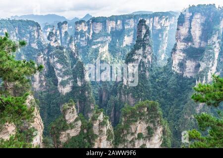 Paesaggio Di Zhangjiajie National Forest Park, Patrimonio Dell'Umanità Dell'Unesco, Wulingyuan, Hunan, Cina Foto Stock