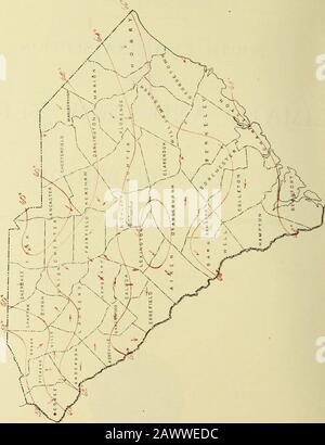 Dati Climatologici, Carolina Del Sud. RALEIGH, N. C.WEATHER BUREAU OFFICE XOVEMIIKLL 25. I1JO5. •?•??•. I o 05 0^W OHOO o P &lt;1 ??q i H&lt;1D5 Ph O. (), 10llKK, 1006. CLIMA E OUOPS: SEZIONE CAROLINA DEL SUD. V. S. DiaWRTMlNl ()!? .(.U ICRI.TLK l„ CLIMATIZZAZIONE E SERVIZIO RACCOLTO WEATI l{ lURLVU. SEDE CENTRALE: WASHINGTON, D. C. SOUTH CAROLINA SECTION.J. W. BAUER, Direttore di Sezione, COLUMBIA, S. C. Vou Vin. Columbia, S. C, ottobre 1905. N.10. PBOGRESS DI FATTORIA WOKK. Lavoro agricolo stagionale avanzato rapidamente durinof ottobre, owiiir per tlie sreieraliy favorevole tempo che prevaleva dur-iiiiiof tii Foto Stock