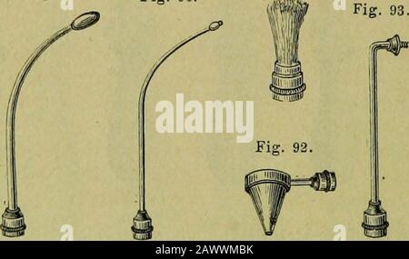 Elektrodiagnostik und Elektrotherapie einschliesslich der physikalischen Propädeutik für praktische Ärzte . ätzen seien mit Übergehung der verschiedenen ge-wöhnlichen kugel-, kegel-, knöpf- und plattenförmigen, mit Schwammkappen oderFlanell und Leinwand überzogenen Applicationsenden nur einige, für bestimmteKörperiegionen gehörige Ansätze abgebildet. Così stellt Fig. 88 einen Ansatzfür die Uteruselektrode (eigentlich Vaginalporzione des Utero) dar; Fig. 89und 90 sind Kehlkopfelektrodenansätze; der erstere mit langem, oliven-förmigen, der letztere mit kurzem, kegelförmigem Applicationsende; BE Foto Stock