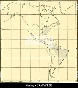 Monografia dei bombardamenti del Nord America, comprese le loro trasformazioni e l'origine dei segni larvale e dell'armatura. Tubercoli intardati; corpo liscio senza spine; mascella lunga, anche se leggermente più corta di Eacles. Si osservi che Burmeister rappresenta il tepupa di C. 2&gt;ilneipal!H con un grande cremaster ben sviluppato e biforcato. (Pi. XX. Fiy. ONPI. XVII) 130 MEMORIE DELL'ACCADEMIA NAZIONALE DELLE SCIENZE. Geixjriiphlcnl distrihutlon.- Il genere è distintivamente un americano meridionale e centrale, cioè neoo-anc, una singola specie che ha forse migrato dal Brasile e dal Foto Stock