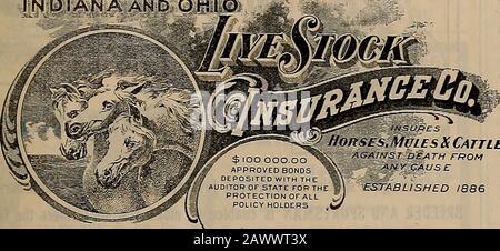 Allevatore e sportivo. Assicurati Il Tuo Live Stock INDIANA ANP OHIO. Cavalli.Mdies H Bestiame STABILITO 1886 Ctafp AffPnk w- T- CLEVERDON, 350 Sansomo St., San Francisco.Oldie HgClllb. J. Ed VAN CAMP, Germain Bldg., Los Angeles. La più grande E OLDESTSTOCK SOCIETÀ Asset 350.000 dollari. Nessuna Valutazione. Le parti responsabili con buone agenzie di opportunità commerciali si applicano agli StateAgents. HEALDSBUSINESSCOLLEGE si allena per le imprese e pone i propri laureati in posizioni. Chiamare o scrivere 425 MCALLISTER ST., San Francisco. Scivola I FRATELLI Successori a J. H. Glide & Sons. Proprietari unici del FAMOSO BLACOW-ROBERTS-GLIDE FRE Foto Stock