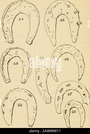 Le scarpe da cavallo e le racchette da cavallo : la loro origine, storia, usi e abusi . le modifiche di altezza i garriers adoptedsecondo le circostanze. Ci sono sempre scarpe con sei chiodi, a volte fullered, ma non ondulate come nel primo periodo. Nella fondazione della chiesa Di Mou-tiers-Grand-Val, costruita nel 7th secolo, è stato trovato un simile shoeehas (fig. 40). Alle scarpe di certainorigin, aggiungiamo un'altra forma che è stata anche ammettedat sub epoche, anche se più raramente, e sembra in-dicate un modo di sciacatura strano per il paese. Wegive come un tipo di queste scarpe (fig. 44) un campione f Foto Stock