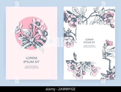 Disegnato a mano sakura rosa fiori e foglie su rami su sfondo bianco, stile vintage pastello colore vettore illustrazione, Botanical disegno c Illustrazione Vettoriale